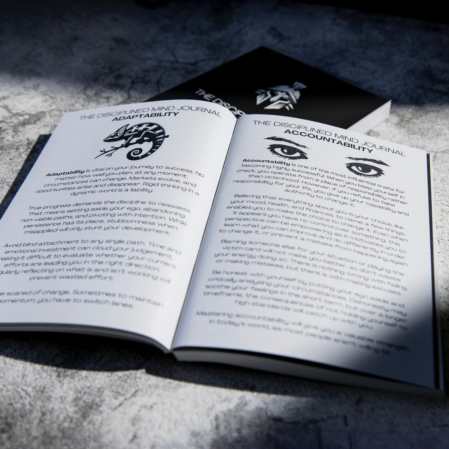 The Disciplined Mind Journal