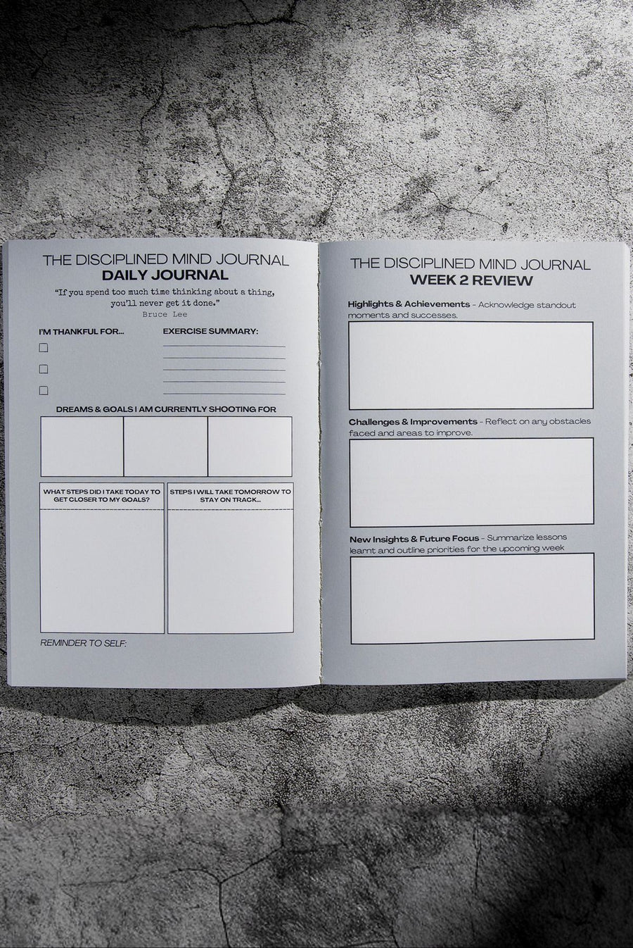 Daily page spread from The Disciplined Mind Journal